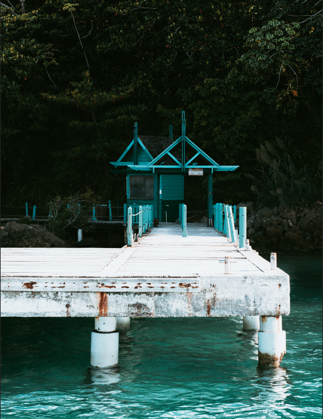 Forgotten Dock (Jamaica)