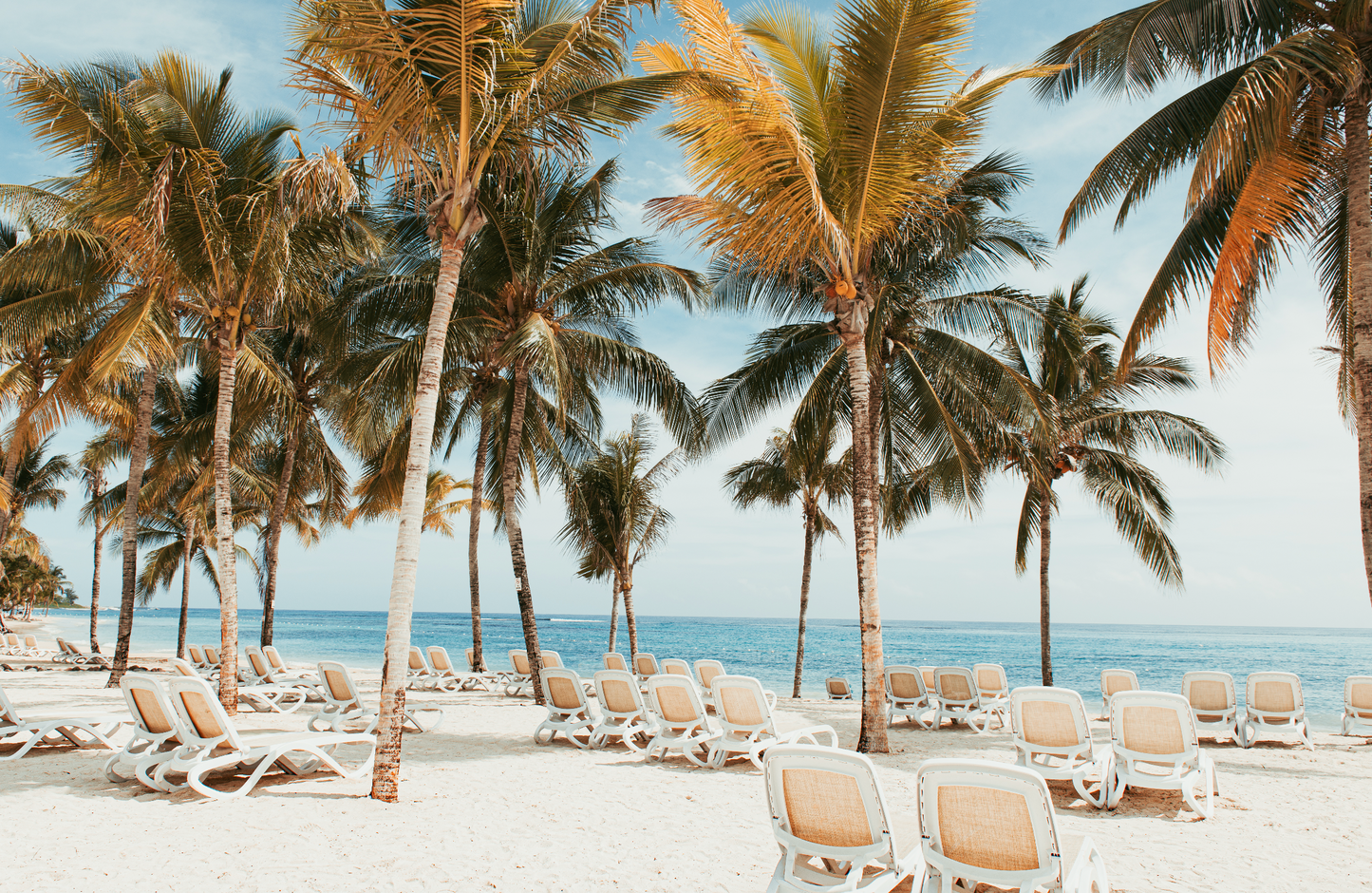 Jamaica Beach Vibes