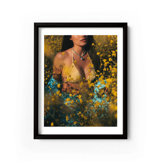 Wildflower in Malibu